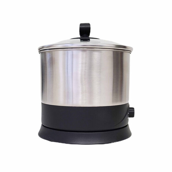 1.2-Liter Stainless Steel Electric Noodle Cooker